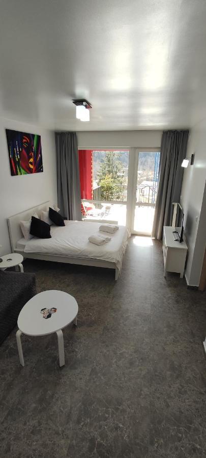 Belle View Sinaia-Free Parking Apartment Bagian luar foto