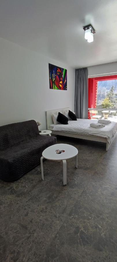 Belle View Sinaia-Free Parking Apartment Bagian luar foto