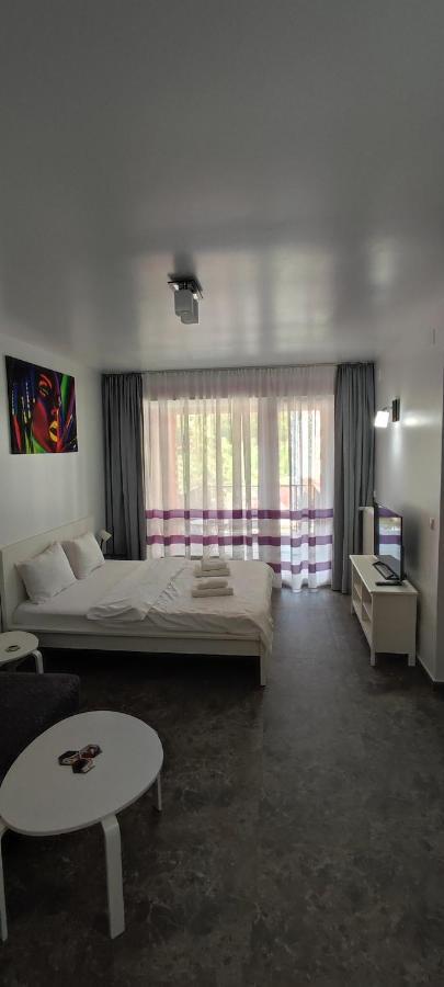 Belle View Sinaia-Free Parking Apartment Bagian luar foto